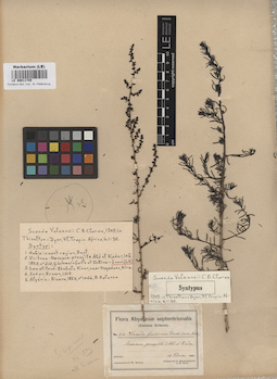 LE 00011745