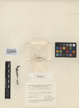 LE 00011746