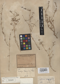 LE 00011752