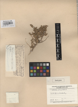 LE 00011755