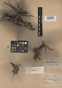 LE 00011756