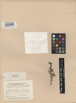 LE 00011761