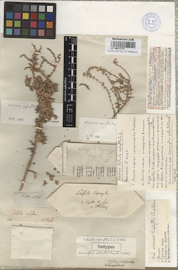 LE 00011773
