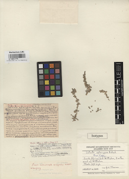 LE 00011775