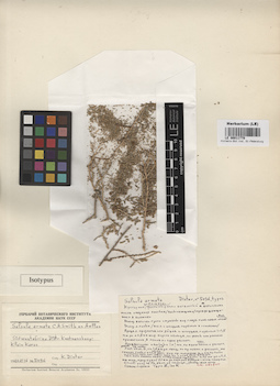 LE 00011779