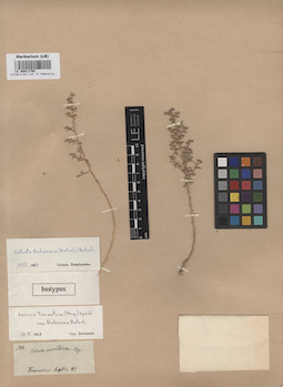LE 00011793