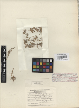 LE 00011795