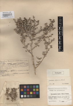 LE 00011819