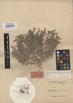 LE 00011821