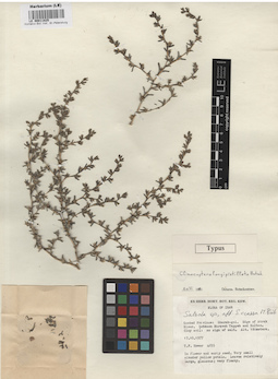 LE 00011825