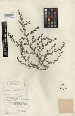 LE 00011826