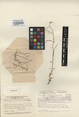 LE 00011832
