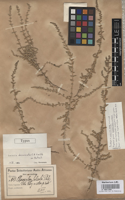LE 00011850