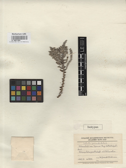 LE 00011862