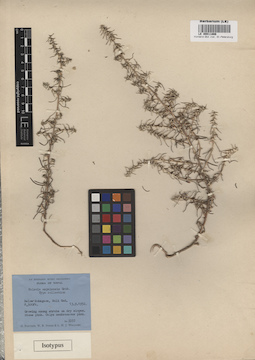 LE 00011866