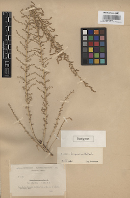 LE 00011873