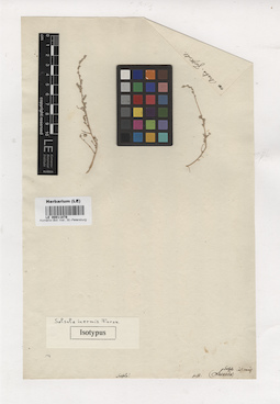 LE 00011878