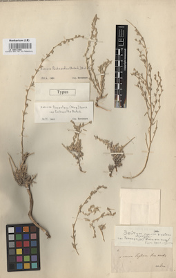 LE 00011880