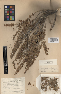 LE 00011895