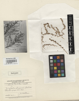 LE 00011902