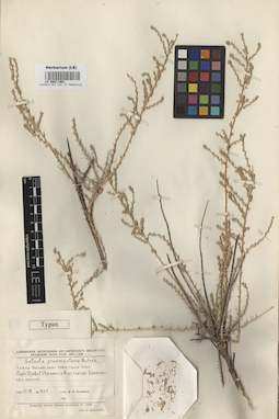 LE 00011903