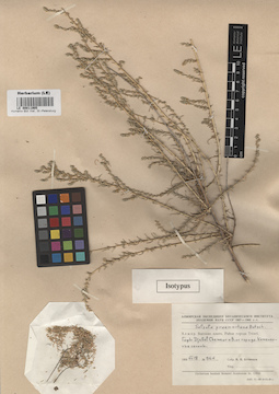 LE 00011905