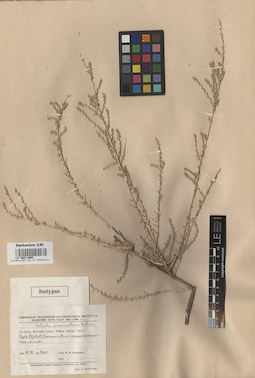 LE 00011906