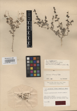 LE 00011908