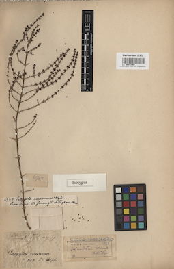 LE 00011909