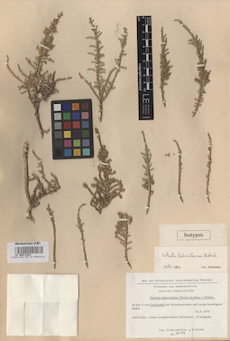 LE 00011912