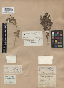 LE 00011918