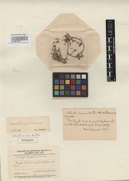 LE 00011921