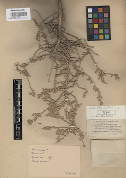LE 00011928
