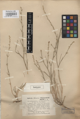 LE 00011930