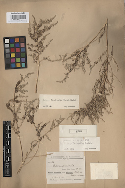 LE 00011931