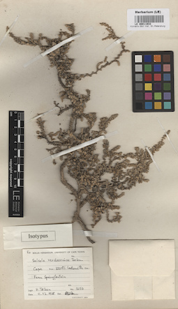 LE 00011933