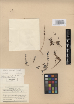 LE 00011938
