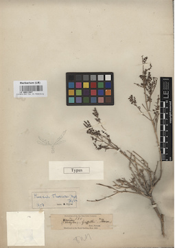 LE 00011947