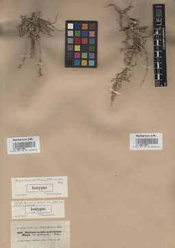 LE 00011953