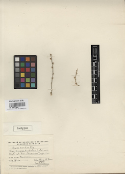 LE 00011956