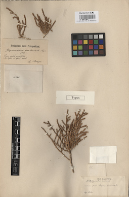 LE 00011957
