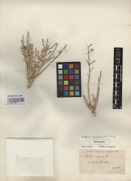 LE 00011960