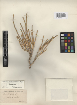 LE 00011961