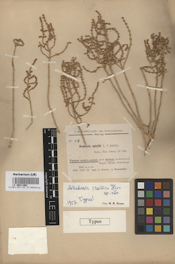 LE 00011962