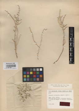 LE 00011965