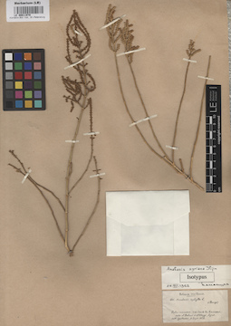 LE 00011970