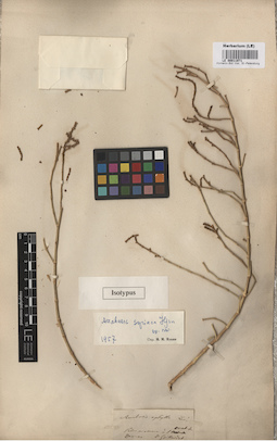 LE 00011971
