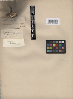 LE 00011974