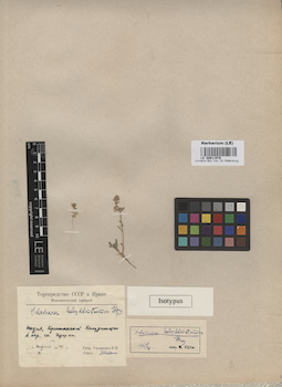 LE 00011976