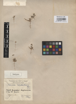 LE 00011977